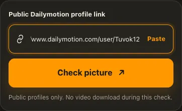 Illustrative Dailymotion screen for step 1